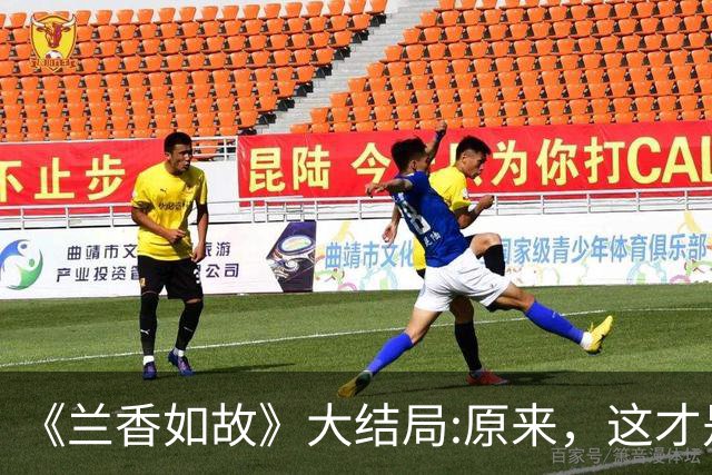 《兰香如故》大结局:原来，这才是林秀茹感恩许兰香的真相