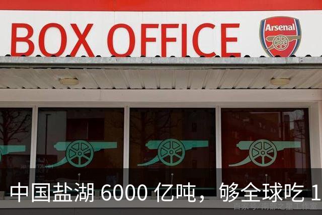 中国盐湖 6000 亿吨，够全球吃 1000 年，为啥重兵常年守？