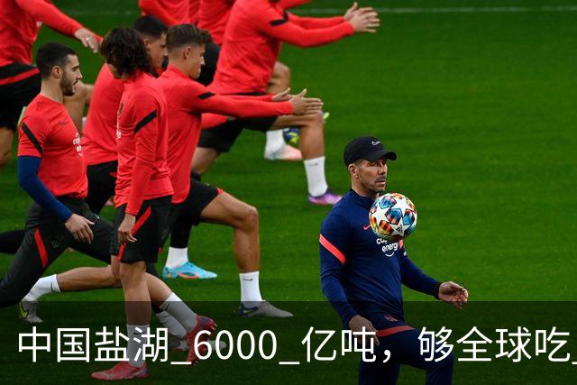 中国盐湖 6000 亿吨，够全球吃 1000 年，为啥重兵常年守？