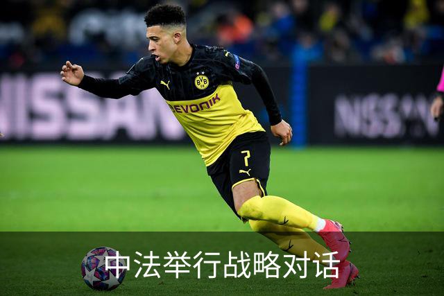 中法举行战略对话