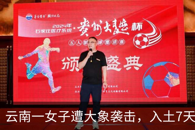 云南一女子遭大象袭击，入土7天坟墓又被破坏，调查后发现，竟是大象复仇