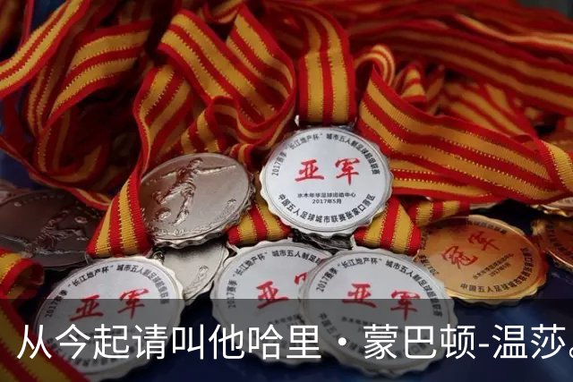 从今起请叫他哈里·蒙巴顿-温莎。这普通公民安保闹剧，该收场了！