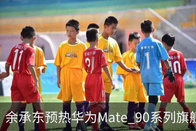 余承东预热华为Mate 90系列旗舰新机：大家一次次选择我们，我们就得一次次拿出进步