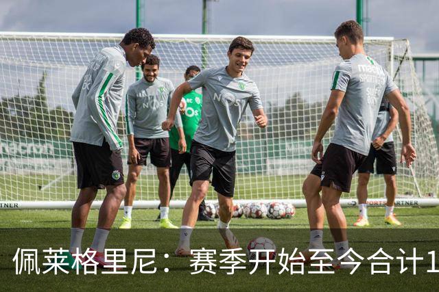 佩莱格里尼：赛季开始至今合计18分，我们拿到15分并不容易