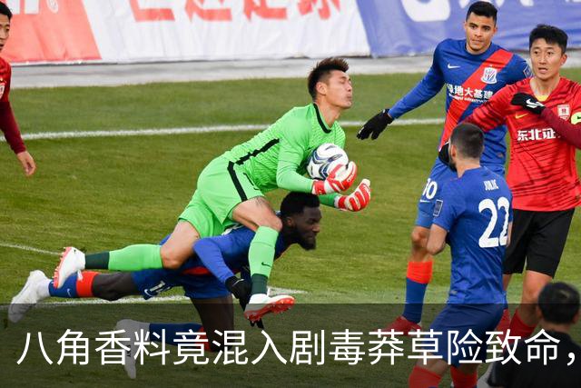 八角香料竟混入剧毒莽草险致命，散装香料监管不能松