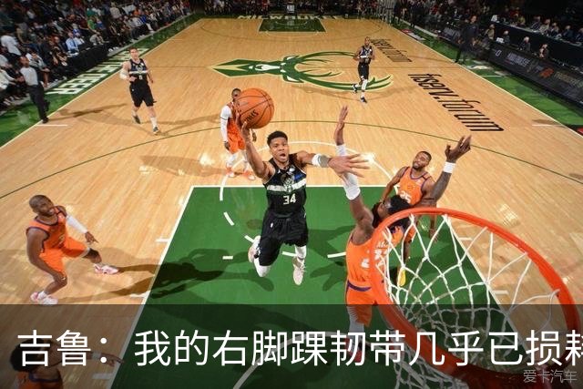 吉鲁：我的右脚踝韧带几乎已损耗殆；马尔蒂尼就是自律的标杆
