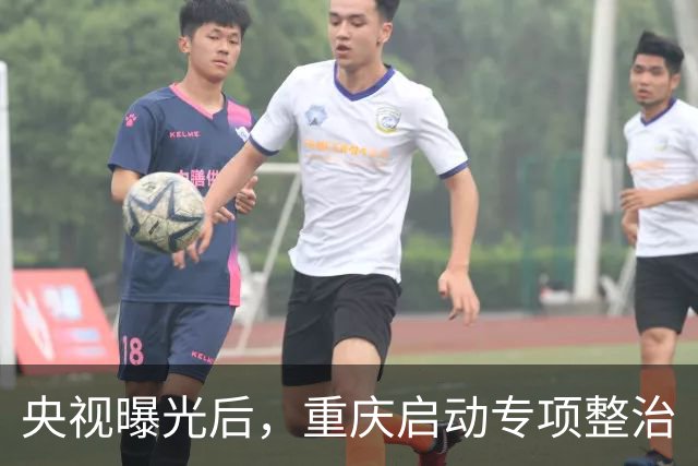 央视曝光后，重庆启动专项整治