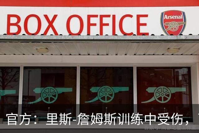 官方：里斯-詹姆斯训练中受伤，已成功接受膝关节微创手术