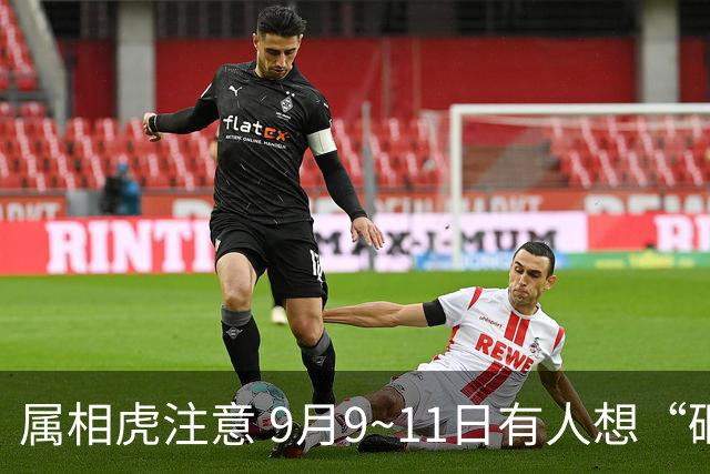 属相虎注意 9月9~11日有人想“砸 你锅”，做好4个防范，好运反扑
