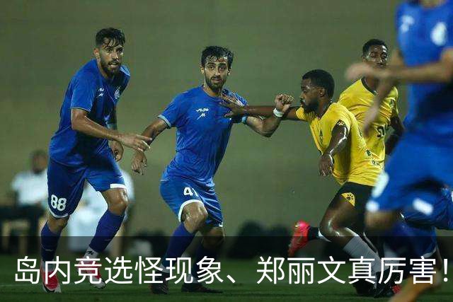 岛内竞选怪现象、郑丽文真厉害！“反郑联盟”摊牌，卢秀燕尴尬了