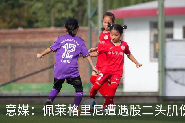 意媒：佩莱格里尼遭遇股二头肌伤病，初步预估将缺阵约四周