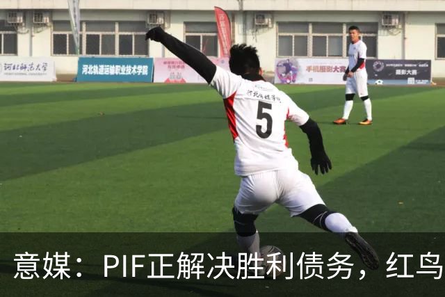 意媒：PIF正解决胜利债务，红鸟拟收购其70%股份，C罗或持股20%