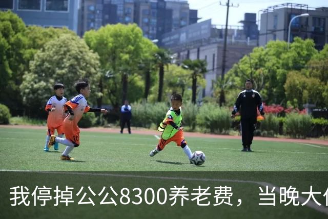 我停掉公公8300养老费，当晚大伯哥来电质问，我愣住了