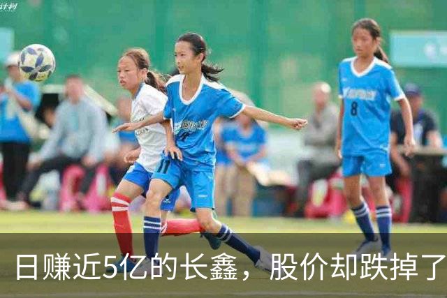 日赚近5亿的长鑫，股价却跌掉了15000亿