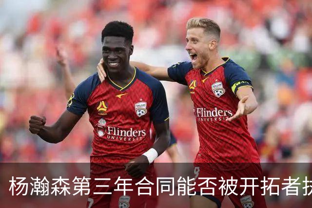 杨瀚森第三年合同能否被开拓者执行，半个月后或许就会有答案