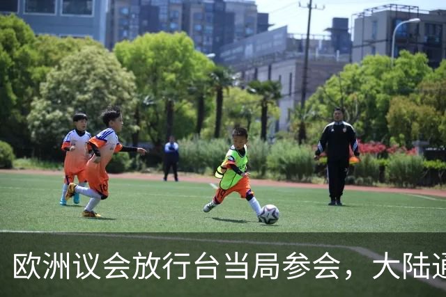 欧洲议会放行台当局参会，大陆通牒已下，交涉失败后事态严重了