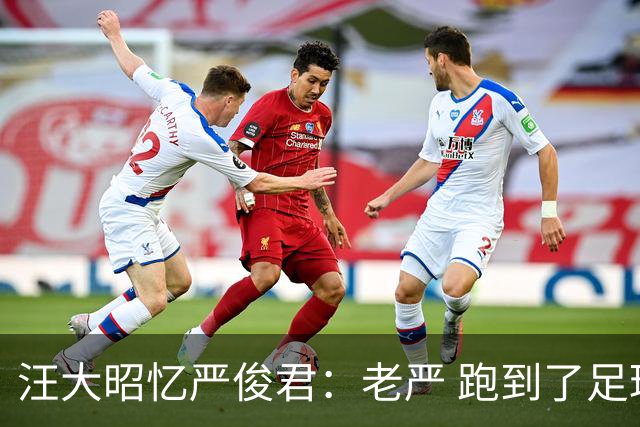 汪大昭忆严俊君：老严 跑到了足球前面