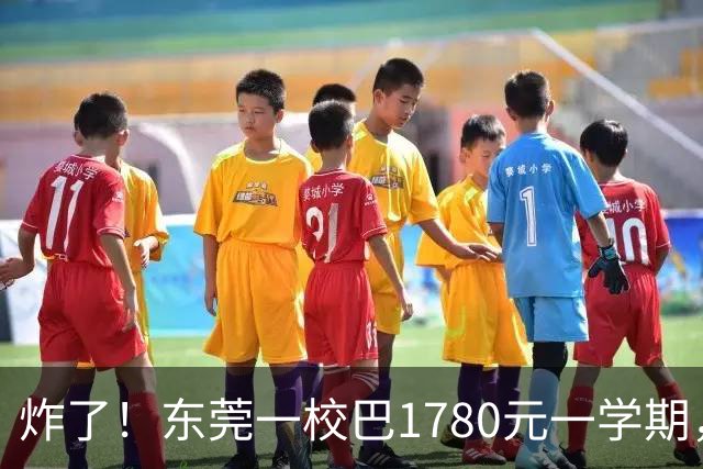 炸了！东莞一校巴1780元一学期，被投诉