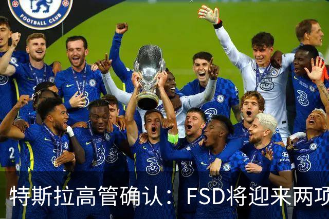 特斯拉高管确认：FSD将迎来两项重要改进！