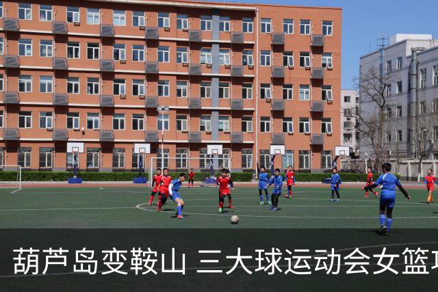 葫芦岛变鞍山 三大球运动会女篮项目D组赛区更换