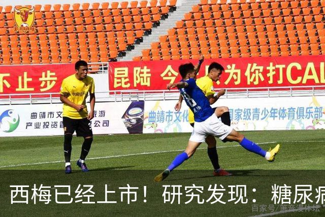 西梅已经上市！研究发现：糖尿病患者吃西梅，或能降低5种并发症