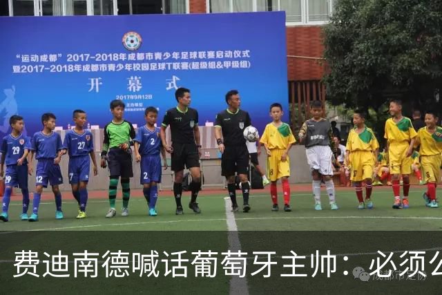 费迪南德喊话葡萄牙主帅：必须公开道歉，否则就下课