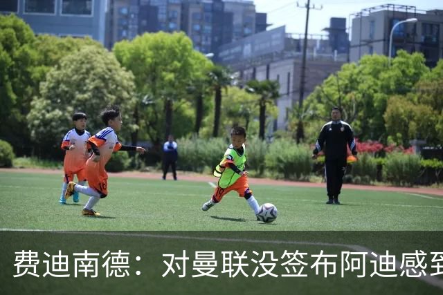 费迪南德：对曼联没签布阿迪感到失望，不敢相信我们错过了他