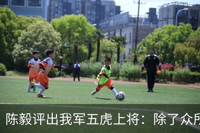 陈毅评出我军五虎上将：除了众所周知的彭德怀、林彪、刘伯承，还有哪两位？