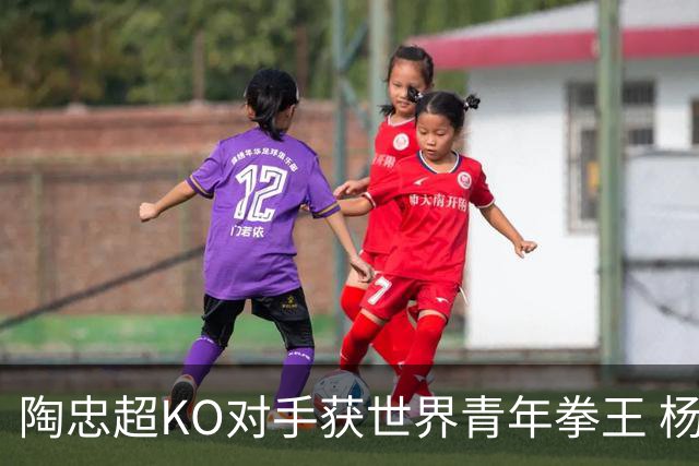 陶忠超KO对手获世界青年拳王 杨永强苦胜越老将