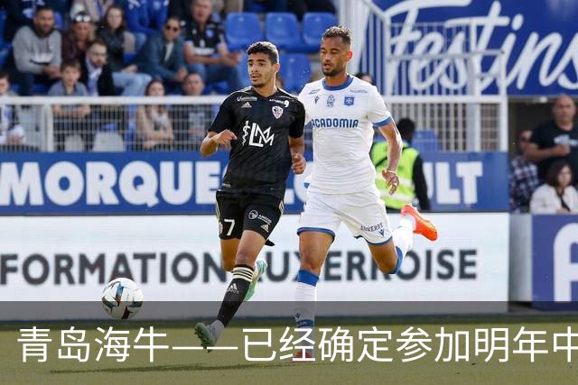 青岛海牛——已经确定参加明年中甲的球队