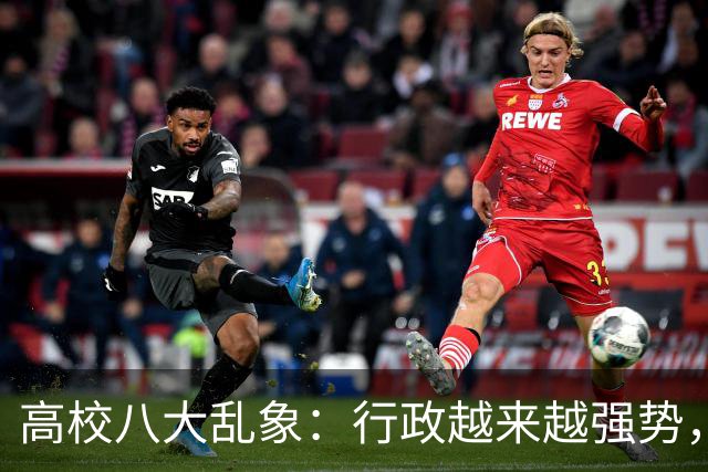 高校八大乱象：行政越来越强势，学术越来越弱势
