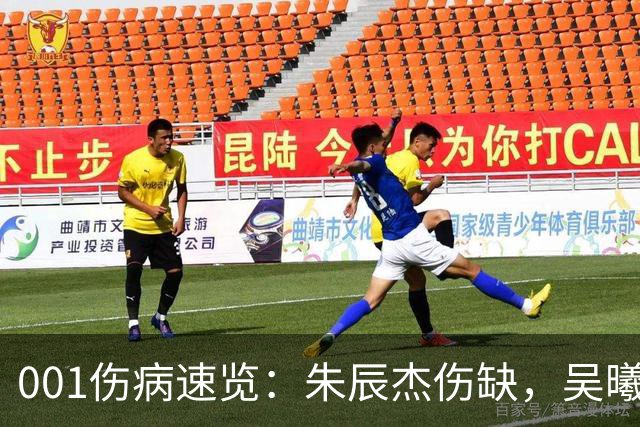 001伤病速览：朱辰杰伤缺，吴曦又伤退，申花中后场如何出球？