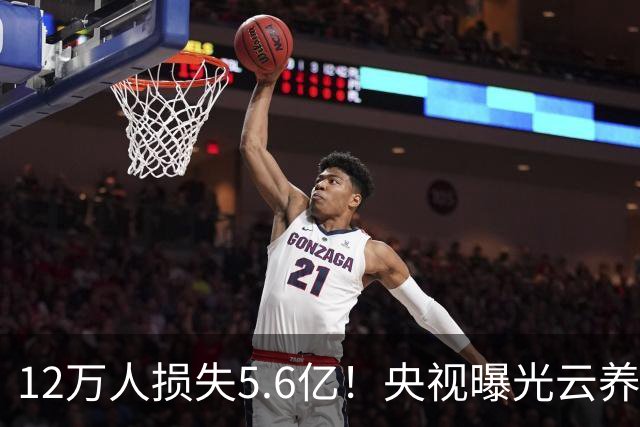 12万人损失5.6亿！央视曝光云养牛骗局，90后近半数中招，太坑了