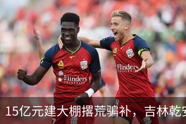 15亿元建大棚撂荒骗补，吉林乾安这起“面子工程”打谁的脸？