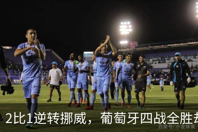 2比1逆转挪威，葡萄牙四战全胜却折了C罗和一人