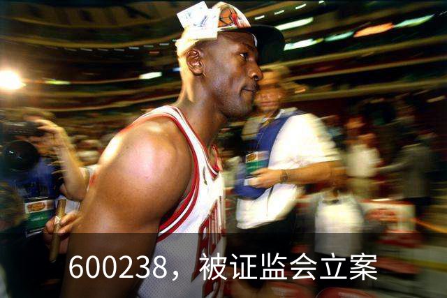 600238，被证监会立案